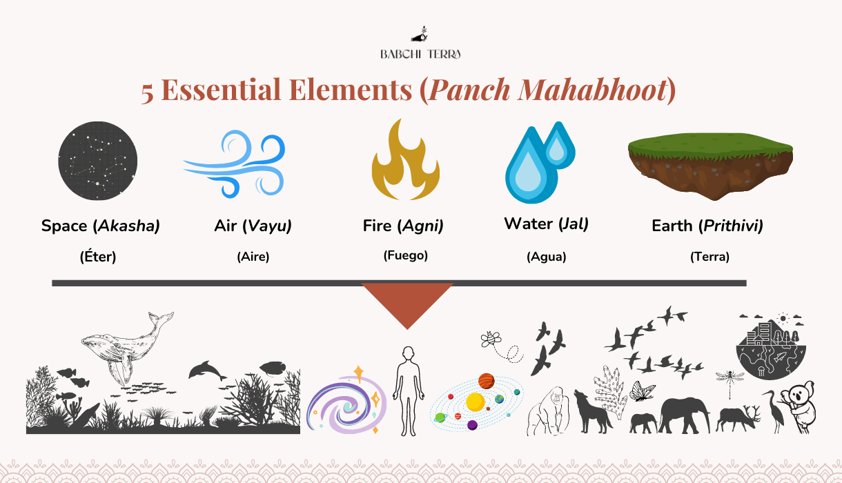 Three Doshas in Ayurveda: Vata, Pitta & Kapha