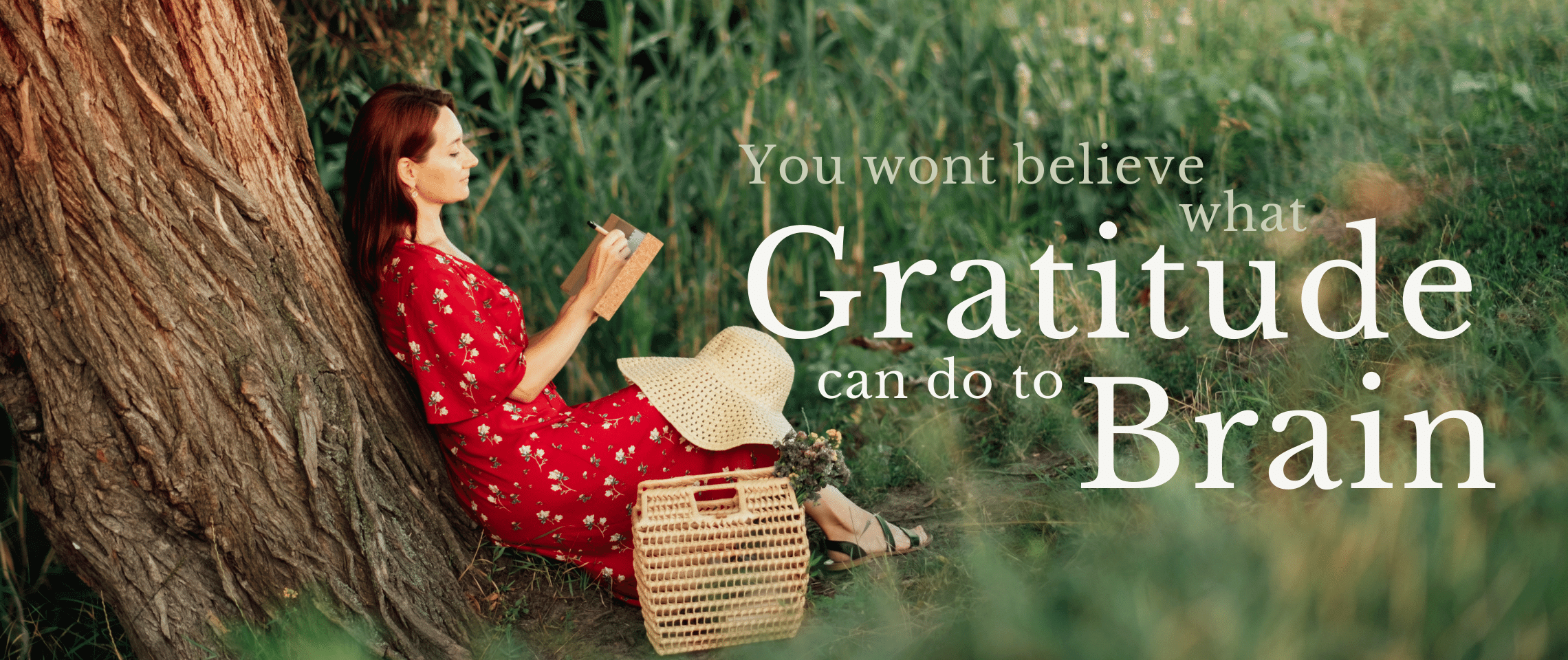 7 Unbelievable Effects of Gratitude On the Brain