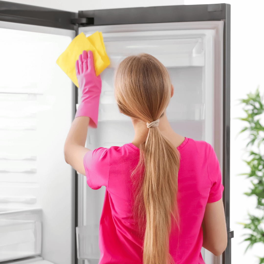 non-toxic fixes for refrigerator smells