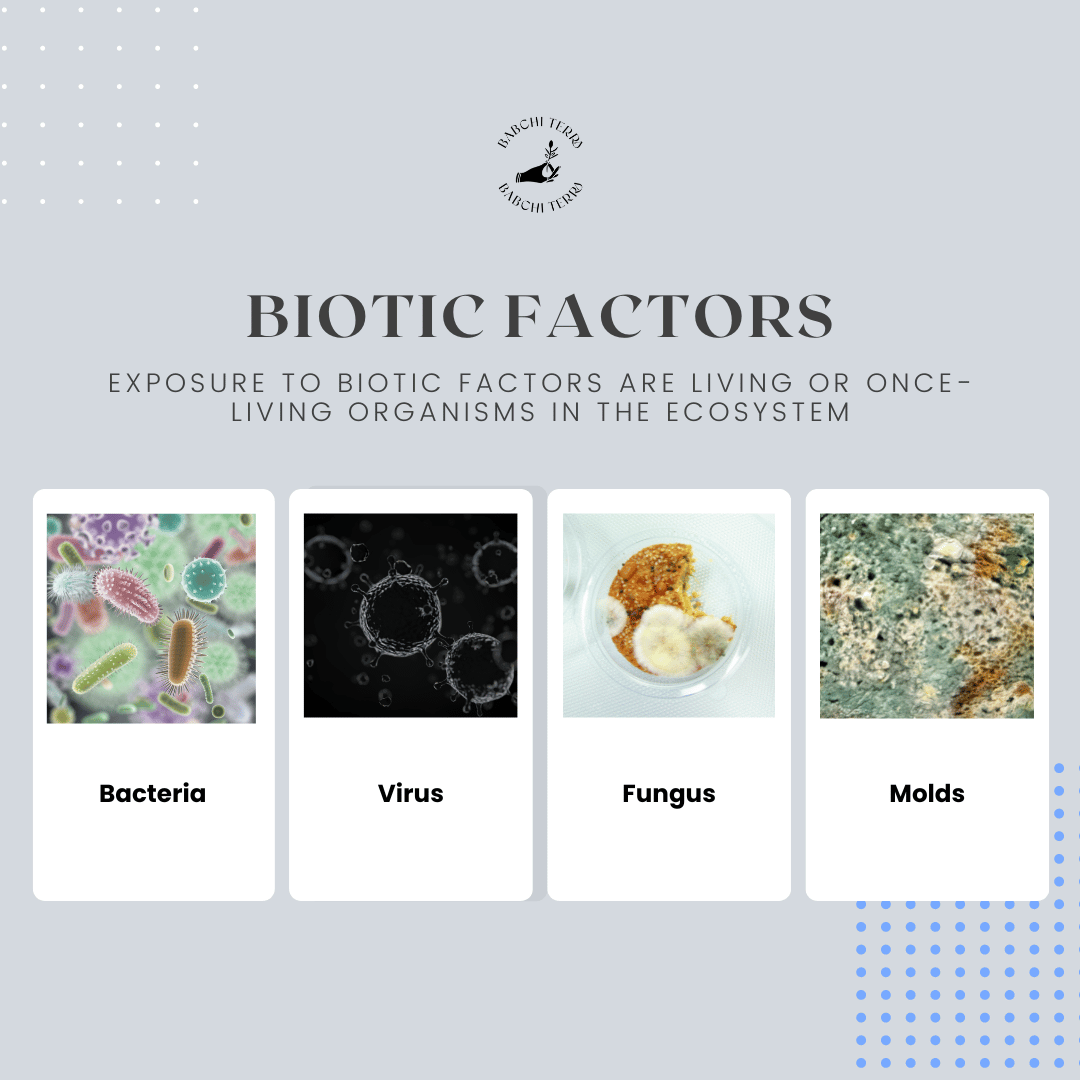 What are biotic factors in the ecosystem?