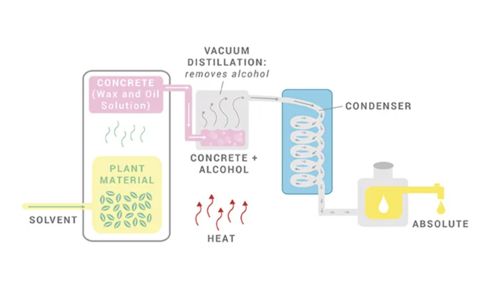 Solvent Extraction: part of the blog, what essential oils are made of and their benefits