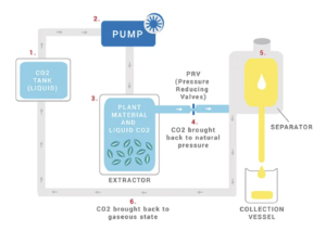 CO2 Extraction Process