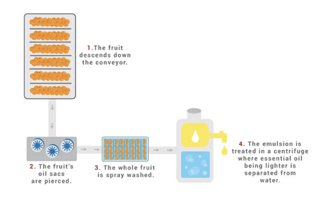 Cold-Pressed Mechanical Expression of EO: part of the blog, what essential oils are made of and their benefits