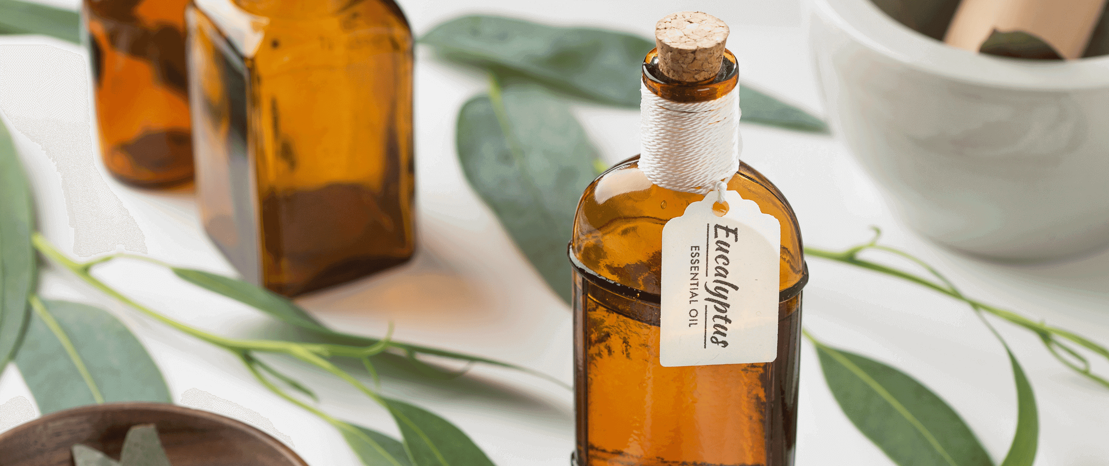 A Beginner’s Guide To Essential Oils: Updated 2024