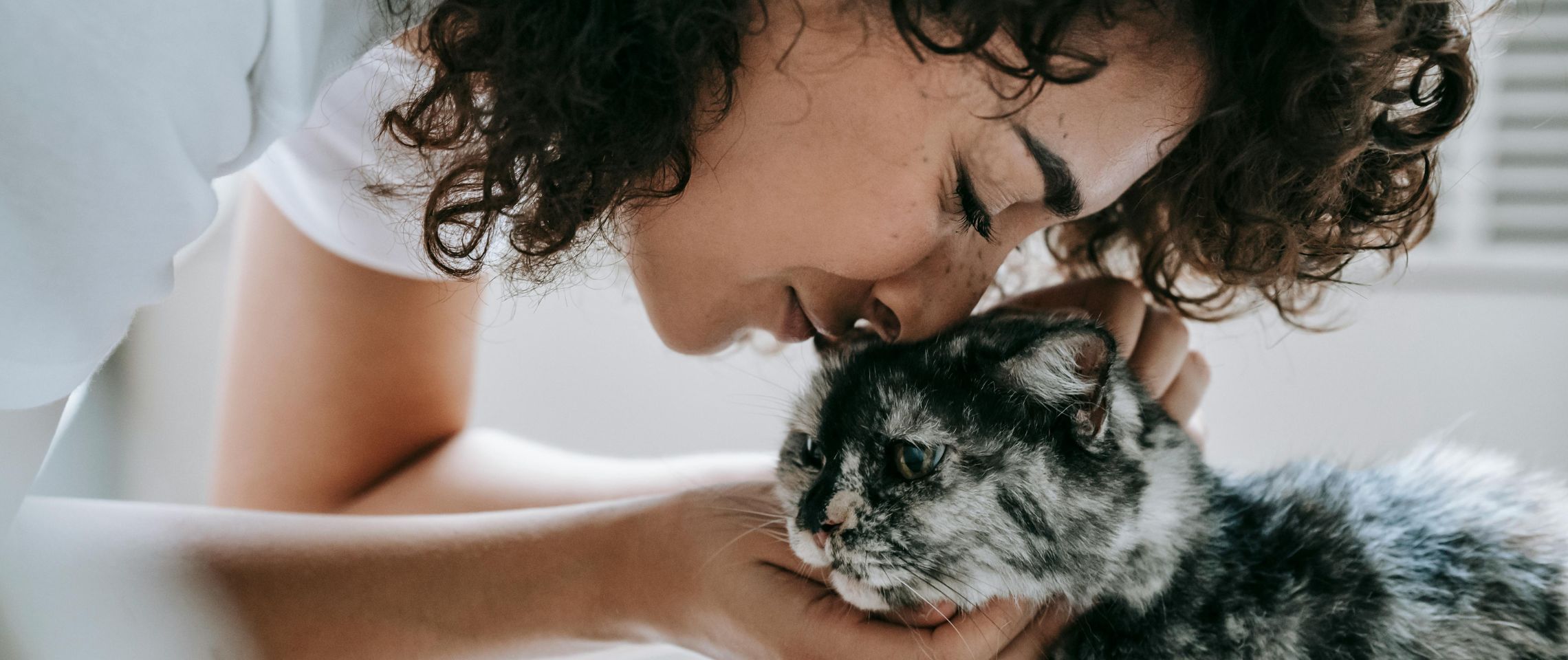 Soothing Whiskers: 7 Essential Oils for Cat Anxiety