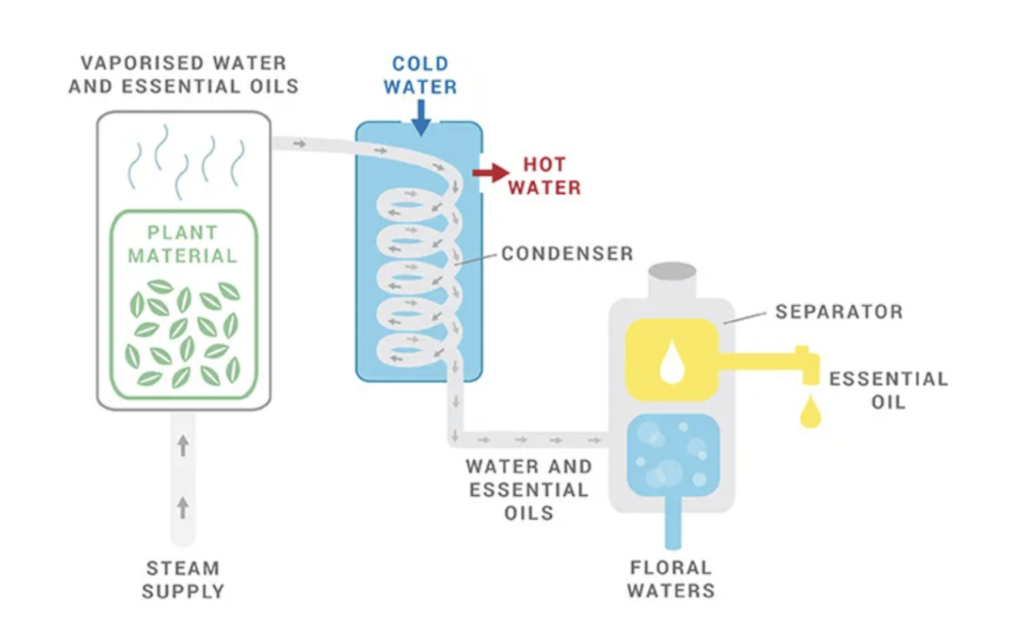 Steam Distillation Process for Extracting EO, part of the blog, what essential oils are made of and their benefits