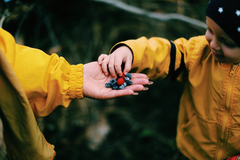 Plant-based diets are good for health 